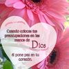 rosariolorenzo726