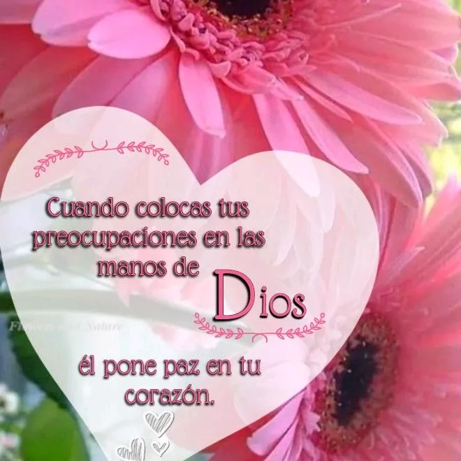 rosariolorenzo726