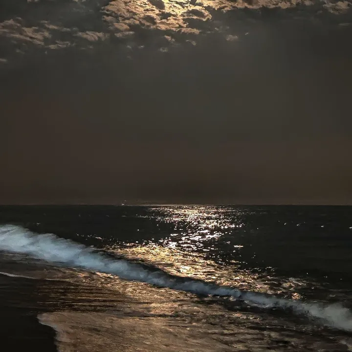@inszlyy