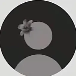 @chaleens._.spam