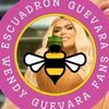 escuadronguevara