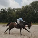 @hunter..eq