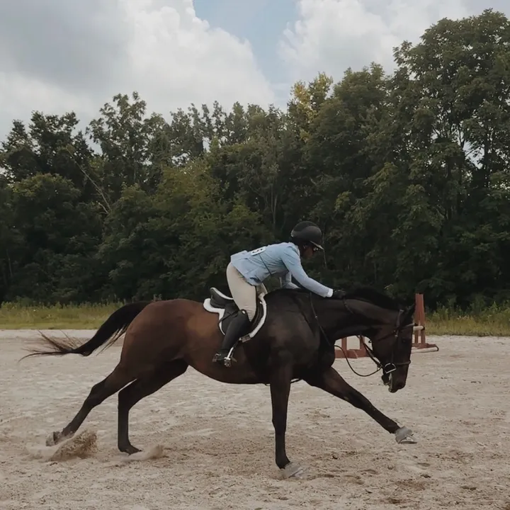 hunter..eq