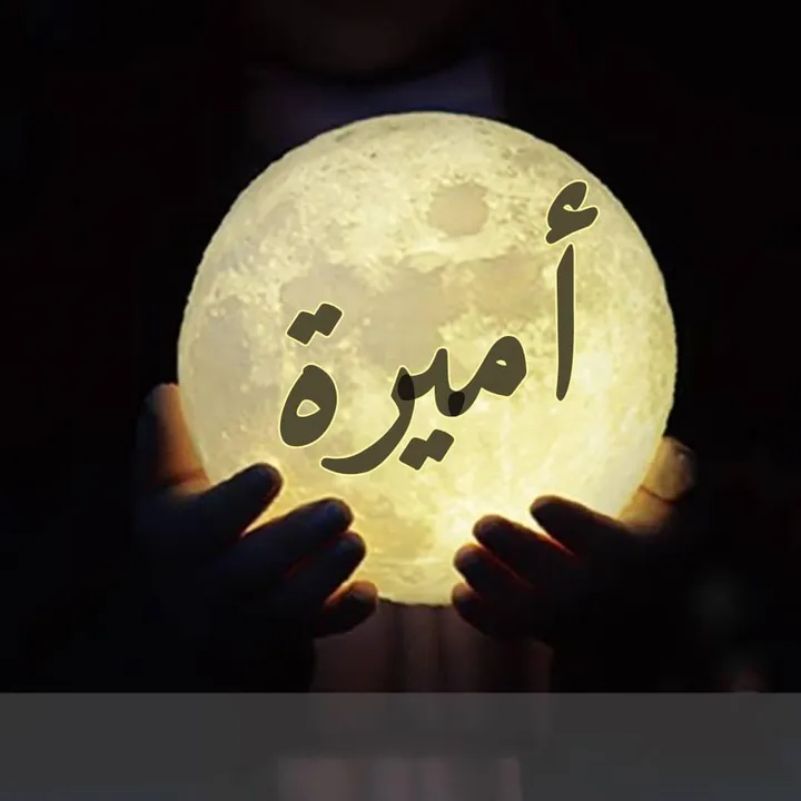 khaledx978