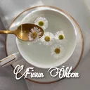 @fusunoektem