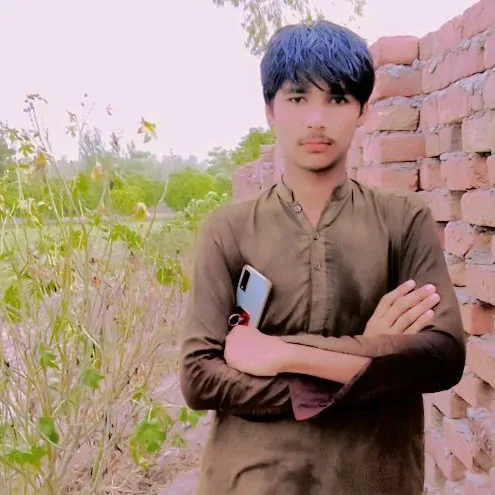 @sajidsindhujutt129