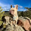 @with_beau