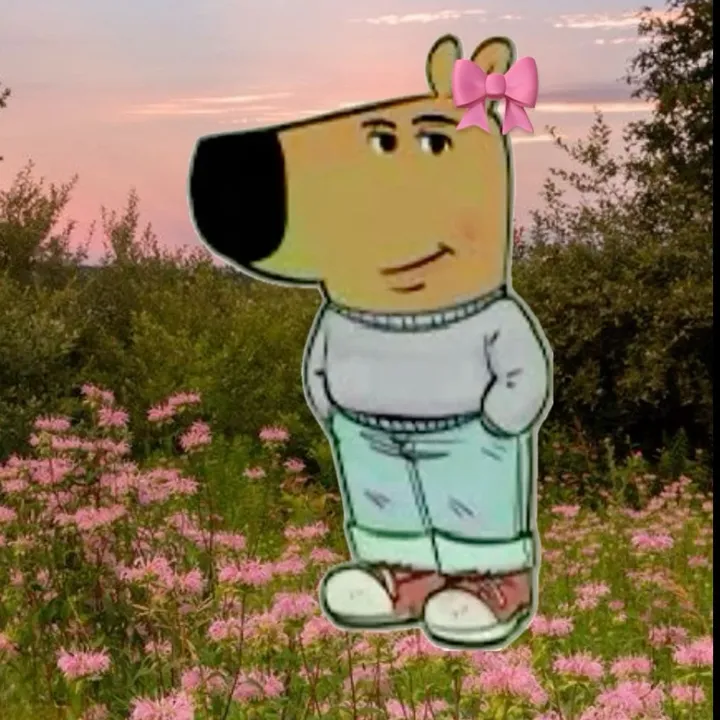 @ariedadonnn