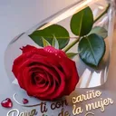 @auroralopez627