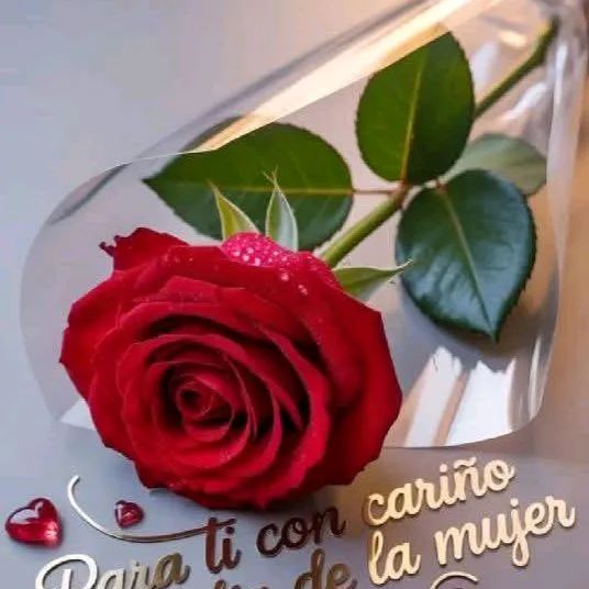 @auroralopez627