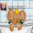 @bloxa41.kamhatka