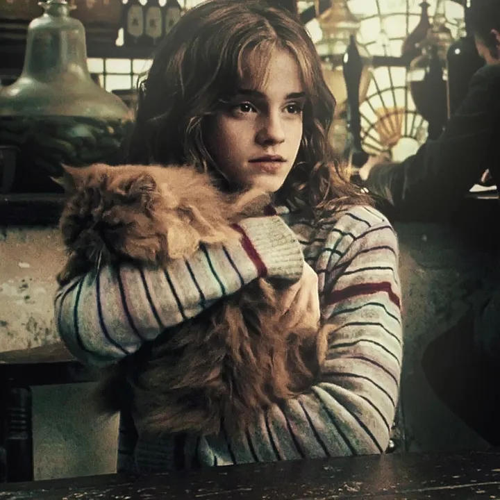 xx.harrypotterpovs.xx