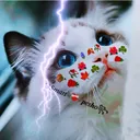 @pesogak24