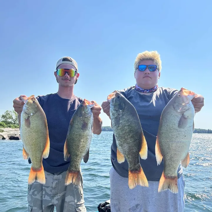 csc.fishing6