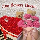 @an_flower_bloom