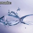 @djtornadofanpage19