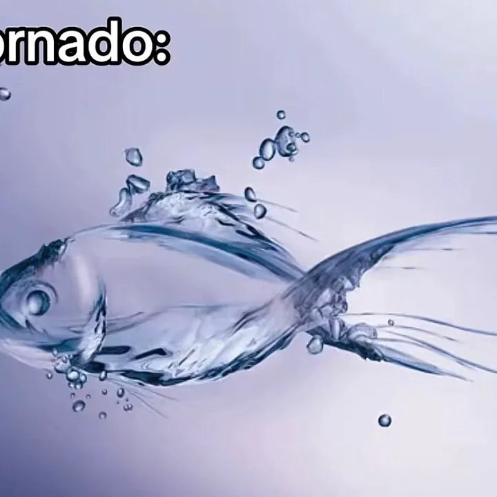 @djtornadofanpage19