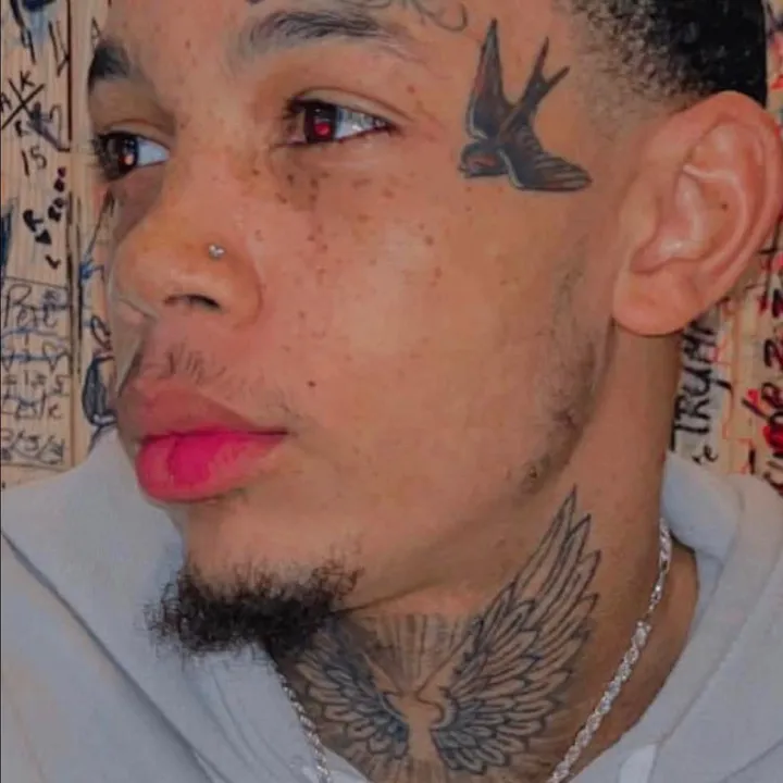 theliftup_