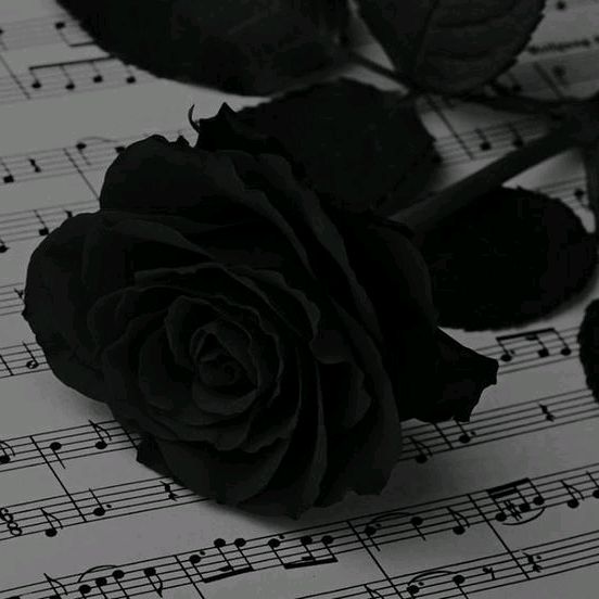 𝓛𝓮𝓸𝓷 🥂 - original sound
