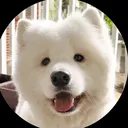 @tracy070688