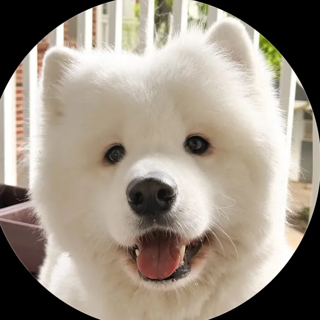 @tracy070688