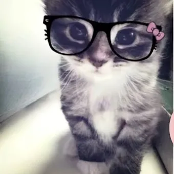 @cleocleocat1