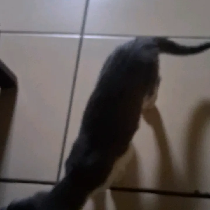 @daniel.marin123