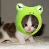 straycattalkz