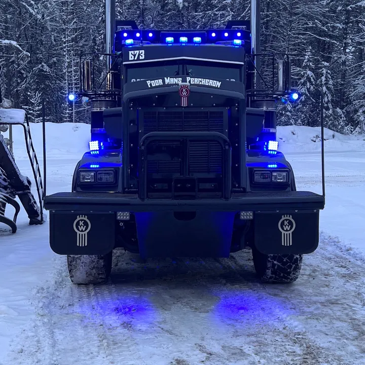 @hammer_lane_timber_train