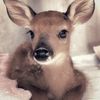 fluffymittensi