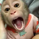 @internetpersonaa_