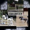 equ1.sweden