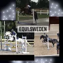 @equ1.sweden