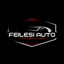 @feilesi0
