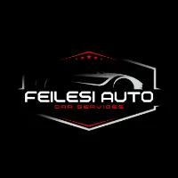 feilesi0