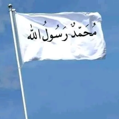 tauhid3446