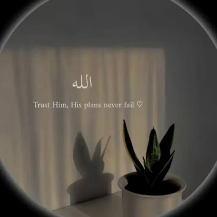 deenoverduny4aa