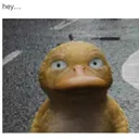@quackelpato56