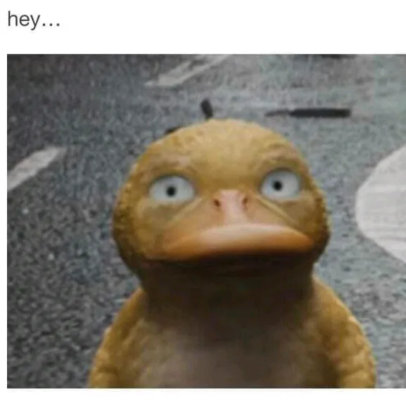 @quackelpato56