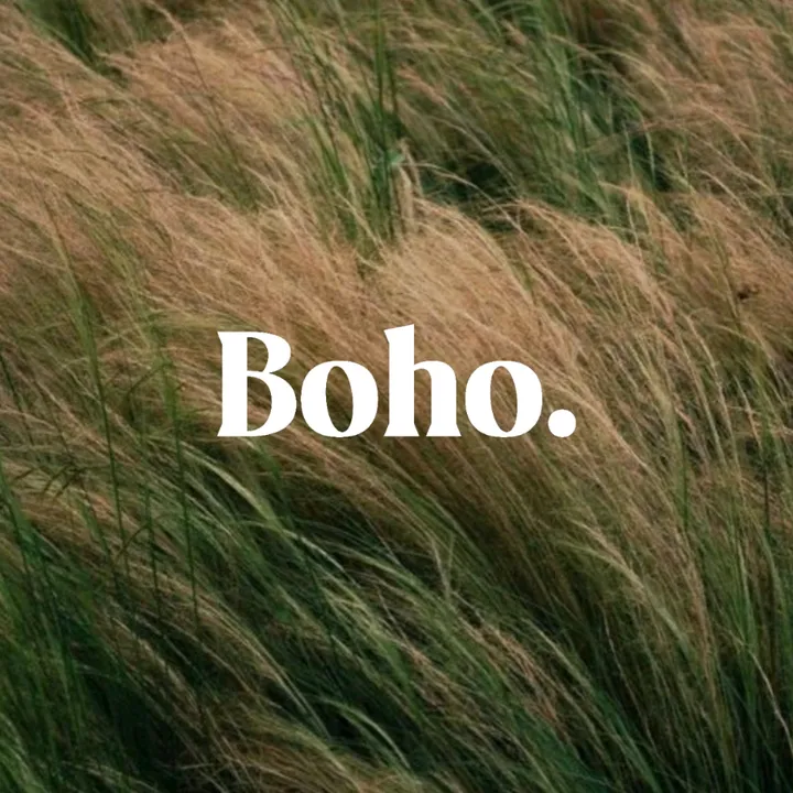 discoverboho