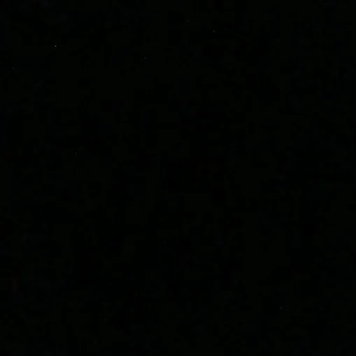 immrora.012