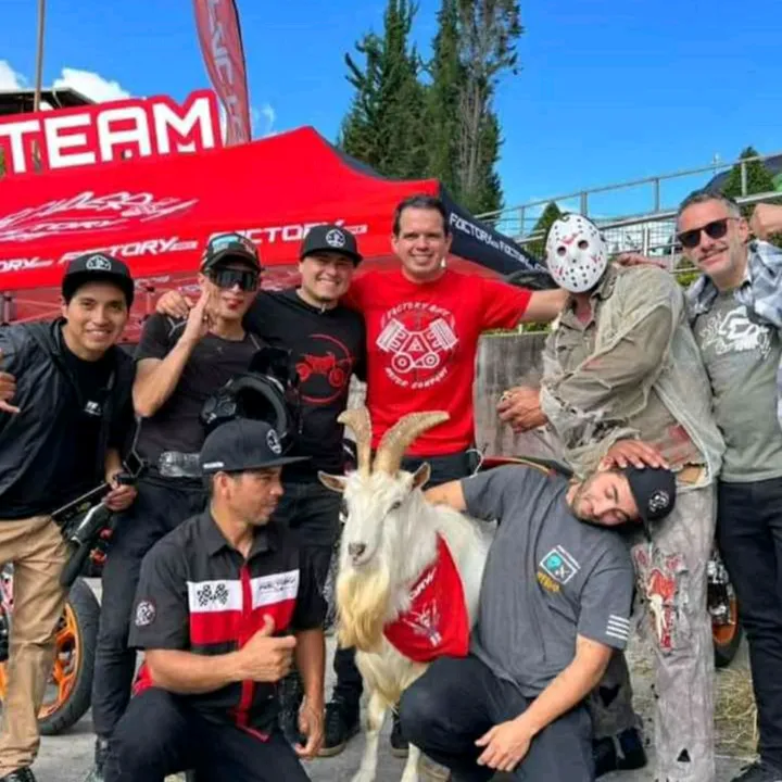 elmetralla_factory