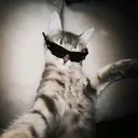 @tiktok.ww59