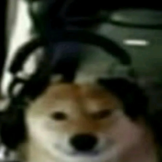 dilxtion