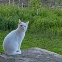 @bay.mahoo