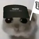@rileywhite520