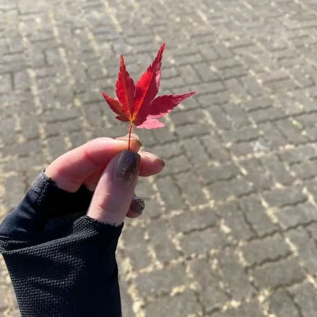 @ahnnur