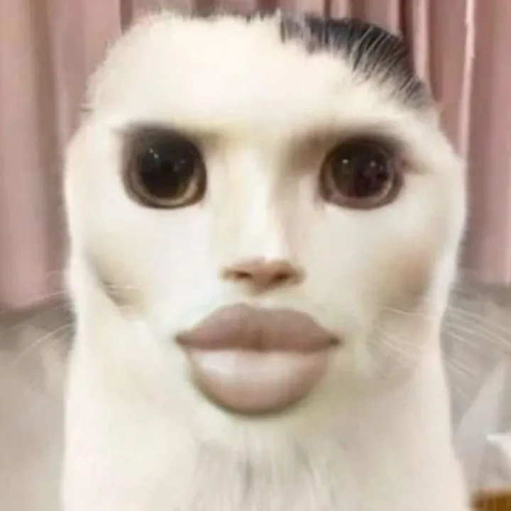 @user09128338