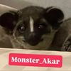 monster_akar