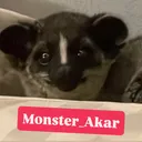 @monster_akar